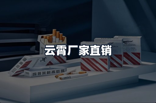 云霄厂家直销